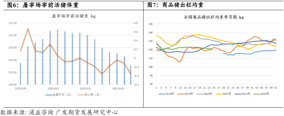 屠宰前活猪体重 商品猪出栏均重